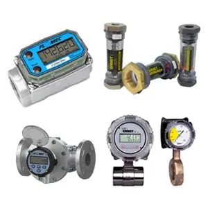 Ernst Instruments Flow Meters & Totalizers